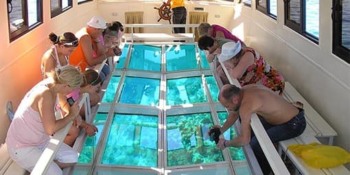 Glass Boat: La Finestra sul Mondo Sommerso
