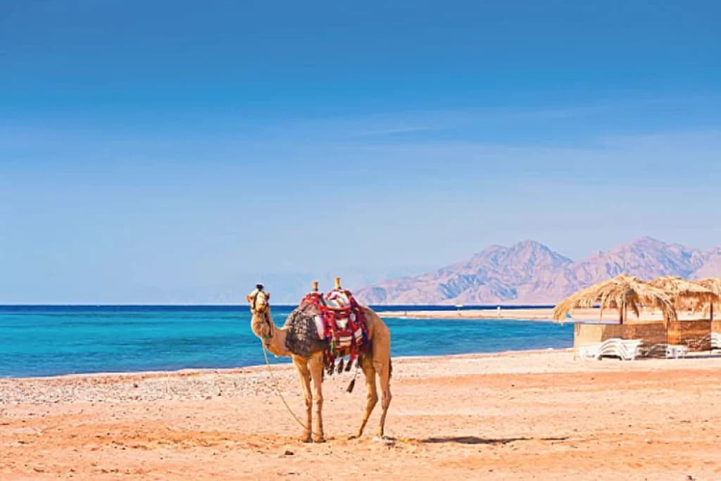 Pacchetto Marsa Alam Offerta 3